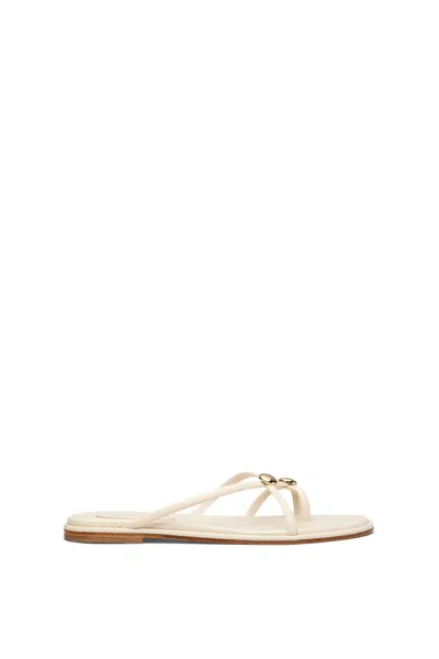 Scanlan Theodore Ilios Flat Sandal In Gray