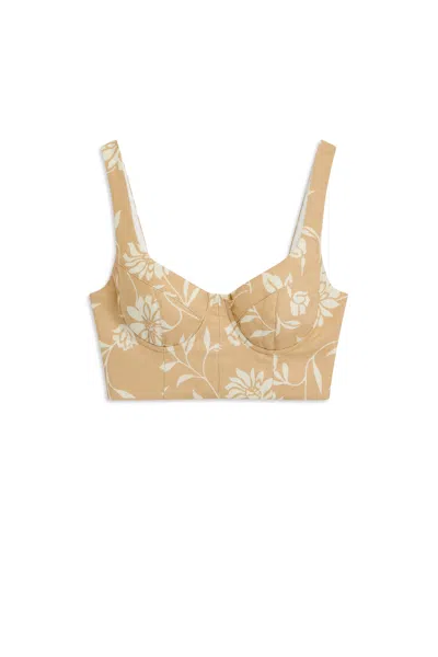 Scanlan Theodore Italian Floral Bralet In Brown