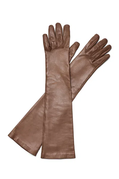 Scanlan Theodore Leather Gloves In Taupe