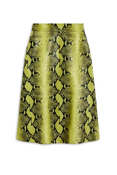 Scanlan Theodore Leather Reptile Skirt In Green