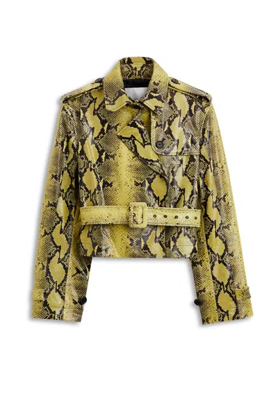 Scanlan Theodore Leather Reptile Trench In Green