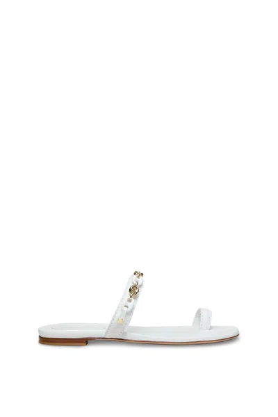 Scanlan Theodore Marine Link Chain Flat Sandal In Multi