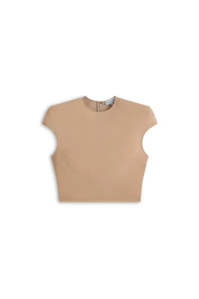 Scanlan Theodore Mesh Shoulder Pad Top In Brown
