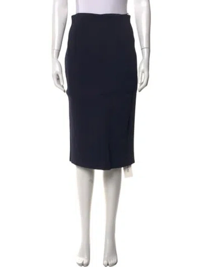 Pre-owned Scanlan Theodore Midi Length Skirt In Blue