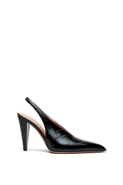 Scanlan Theodore Pointed Slingback 10 In Black