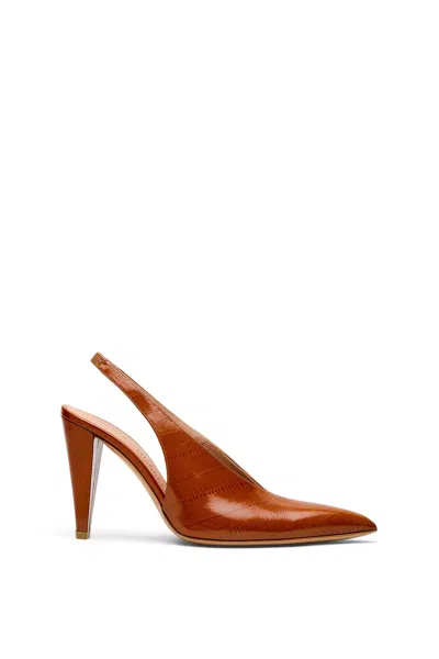 Scanlan Theodore Pointed Slingback 10 In Brandy