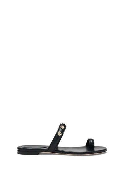 Scanlan Theodore Poppy Flat Sandal In Black