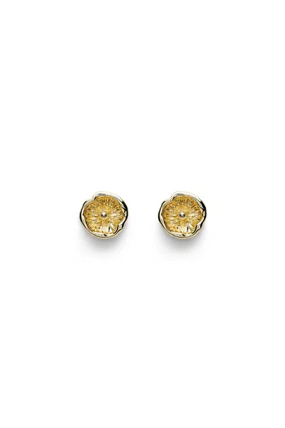 Scanlan Theodore Poppy Studs In Light.gold