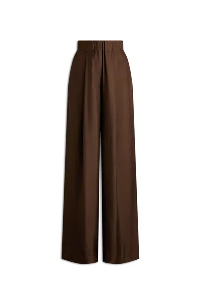 Scanlan Theodore Silk Twill Trouser In Brown