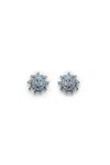 Scanlan Theodore Small Cascade Studs In Blue