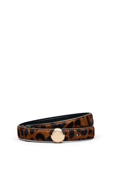 Scanlan Theodore The Ilios Belt 2 In Sahara.print