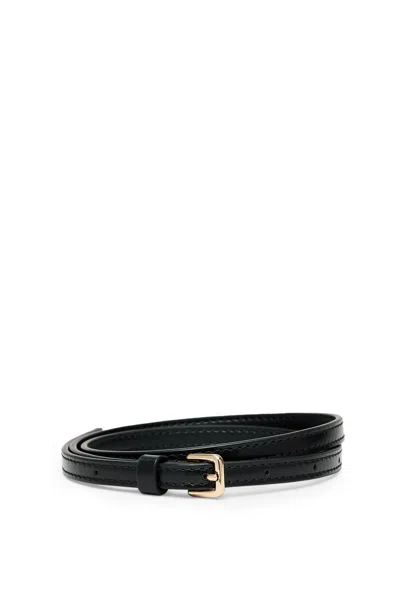 Scanlan Theodore The Mera Belt In Blue