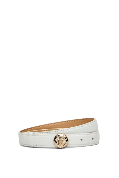 Scanlan Theodore The Poppy Sphere Belt 2 In White