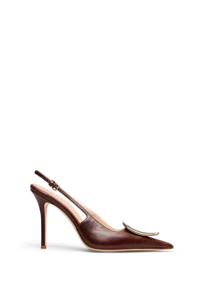 Scanlan Theodore Triangle Frame Slingback 10.5 In Brown