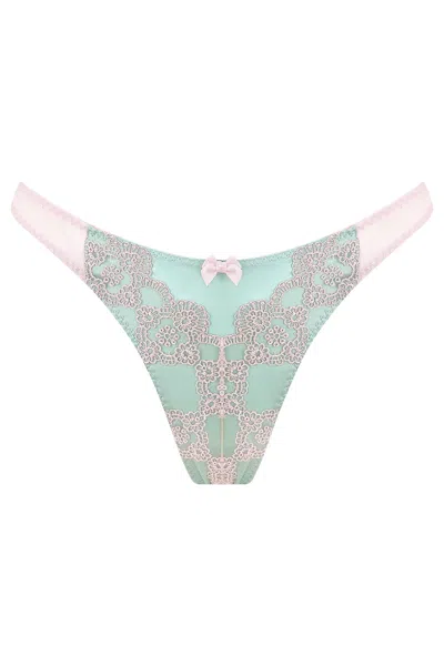 Scarlett Gasque Women's Pink / Purple Misses Macaron Knicker In Pink/purple