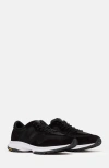 Scarosso Achille Sneakers In Black