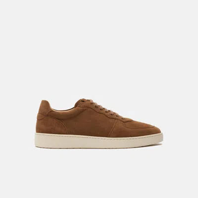 Scarosso Agostino Brown Suede - Man Sneakers Brown In Brown - Suede