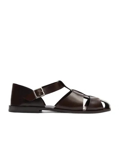 Scarosso Apollo Buckle-fastened Sandals In Brown