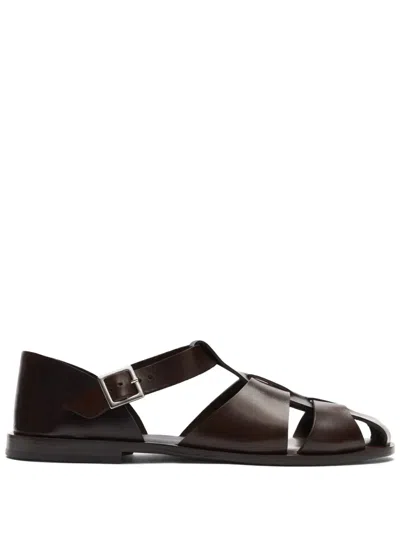 Scarosso Apollo Buckle-fastened Sandals In Brown