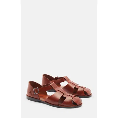 Scarosso Apollo Sandals In Brown