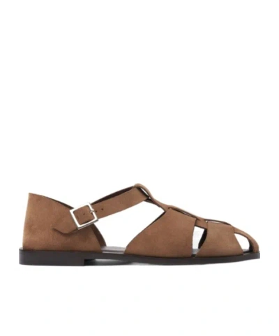 Scarosso Apollo Taupe Suede In Brown