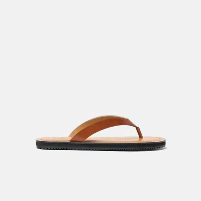 Scarosso Ascanio Sandals In Brown