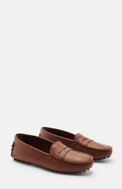 Scarosso Ashley Driving Shoes In Brown