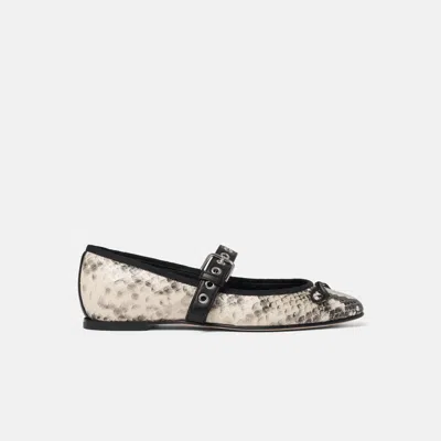 SCAROSSO SCAROSSO ASTRID PYTHON