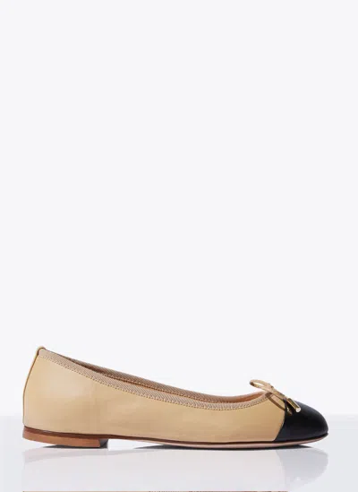 Scarosso Contrasting-toecap Leather Ballerina Shoes In Beige