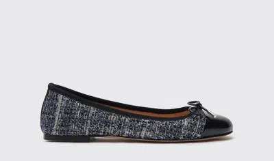 Scarosso Carla Ballerina Shoes In Blue - Tweed