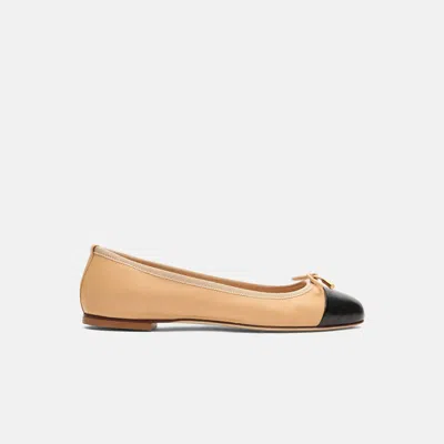 Scarosso Contrasting-toecap Leather Ballerina Shoes In Beige