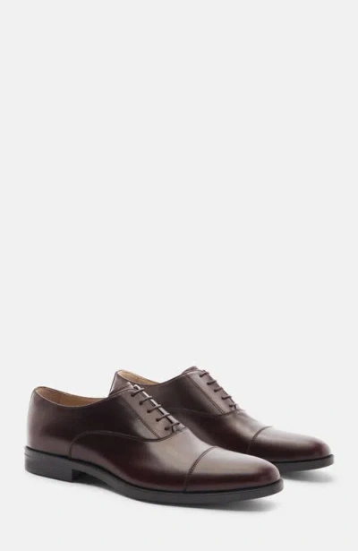 Scarosso Cesare Oxfords
