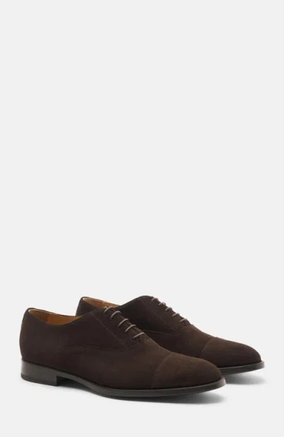 Scarosso Cesare Oxfords