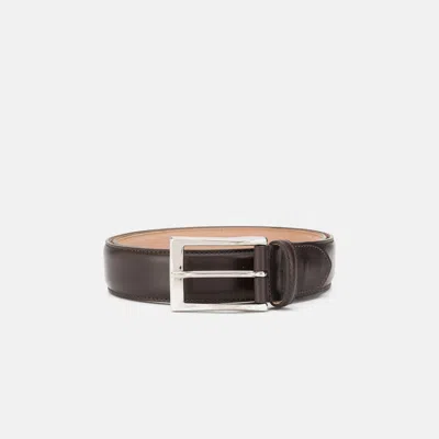 Scarosso Belts Cintura Marrone Scuro Classica Calf Leather In Dark Brown Calf
