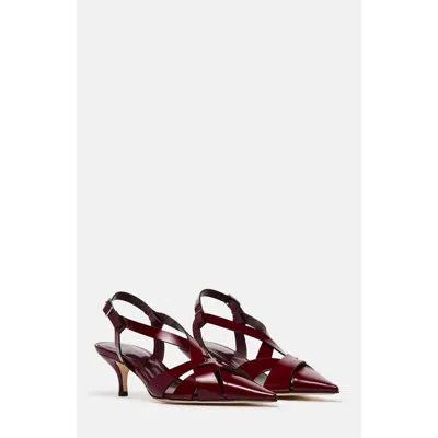 Scarosso Clio Pumps In Burgundy