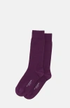 Scarosso Colocott Socks In Purple