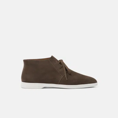 Scarosso Suede Hi-top Sneakers In Deep Taupe - Suede