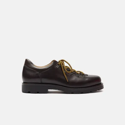 Scarosso Eddy Brown In Brown - Calf