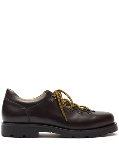 Scarosso Eddy Derby Shoes In Brown