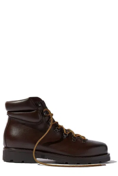 Scarosso Edmund Almond Toe Lace In Brown - Calf