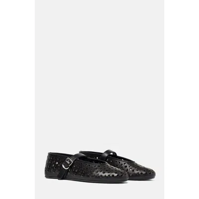 Scarosso Evelyn Ballerinas In Black