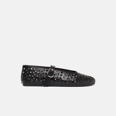Scarosso Evelyn Perforated Ballet Flats In Multi