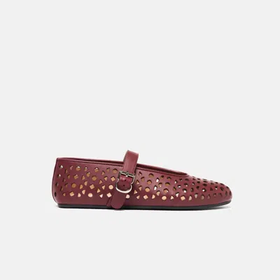 Scarosso Evelyn Perforated Ballet Flats In Multi