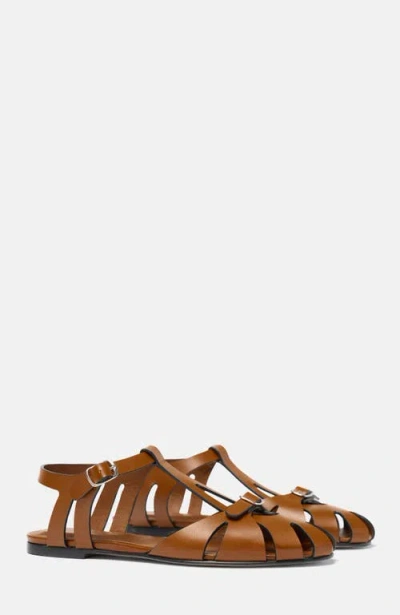 Scarosso Gala Sandals In Brown
