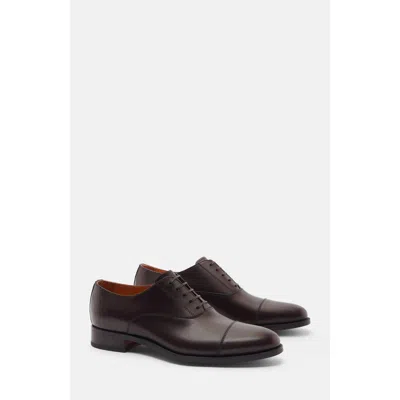 Scarosso Giove Oxfords