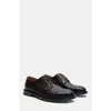Scarosso Harry Derbies In Brown