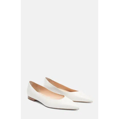 Scarosso Iris Ballerinas In White