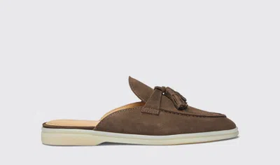 Scarosso Lucrezia Deep Taupe Suede In Deep Taupe - Suede