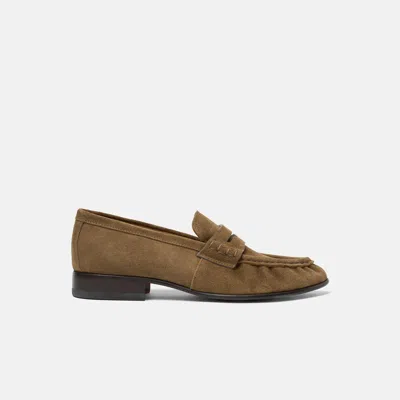 Scarosso Mar Suede Penny Loafers In Brown