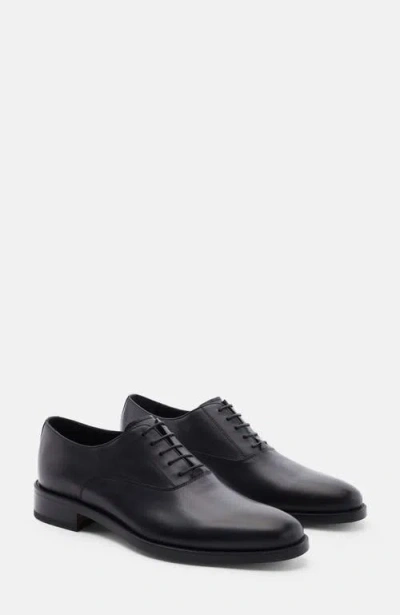 Scarosso Marco Oxfords